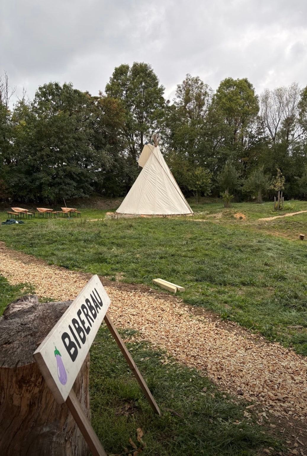 Weißes Tipi auf einer Wiese der Biber Ranch